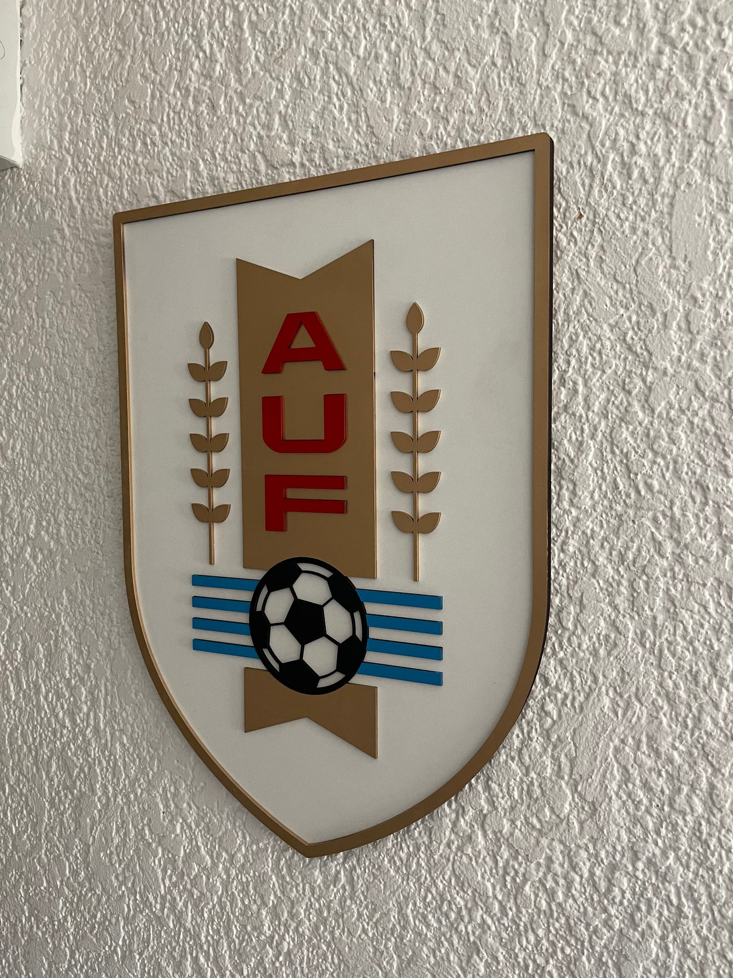 Selección Uruguaya AUF