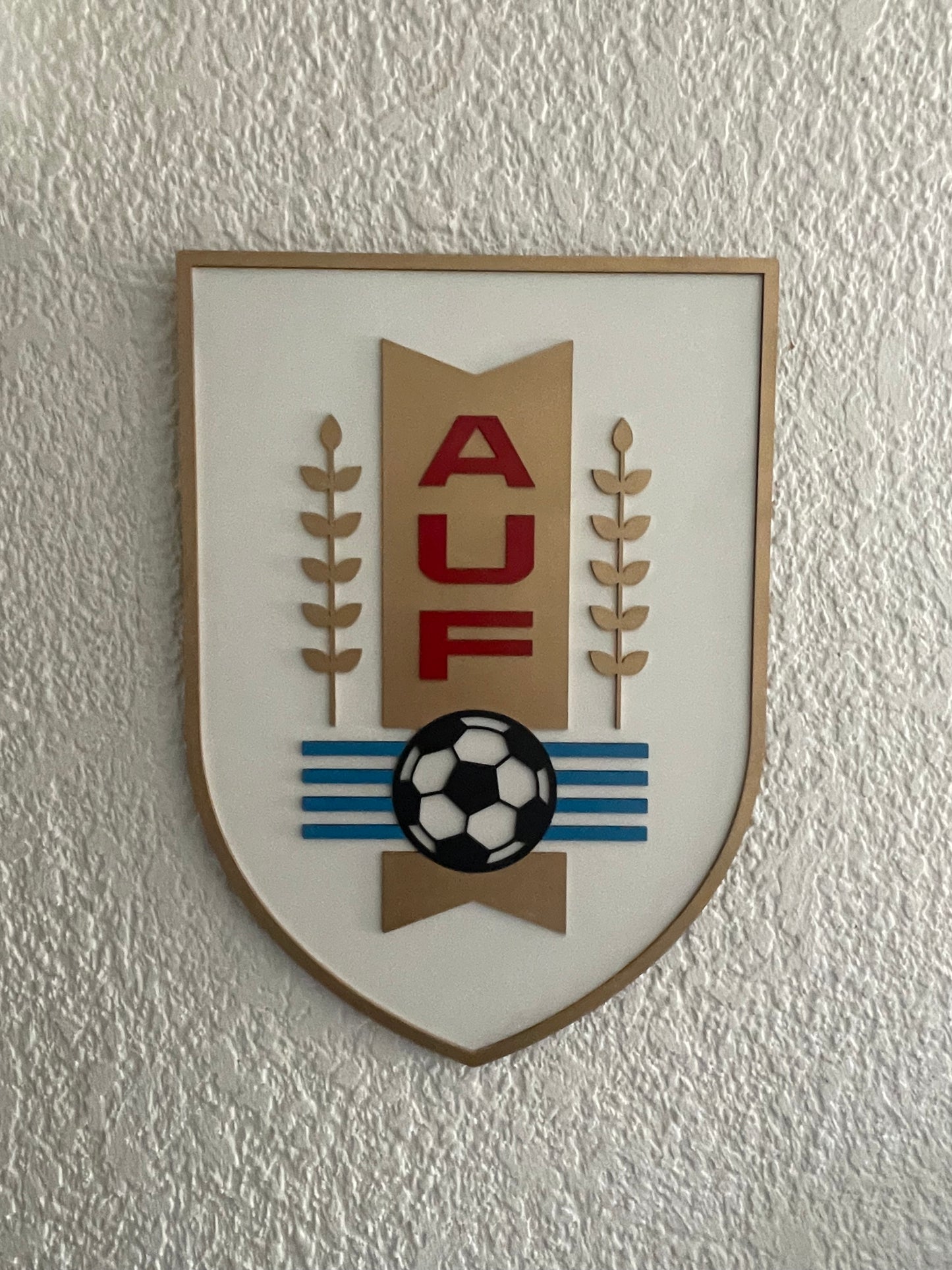 Selección Uruguaya AUF
